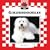 Goldendoodles (Designer Dogs Set 7)