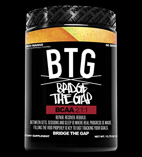 BTG | Bridge The Gap | BCAA | Run Everything Labs | 60 Servings | 13.75 oz (Peach Mango)