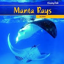 Manta Rays (Freaky Fish) Manta Rays (Freaky Fish)