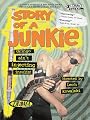 Story of a Junkie