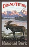 Northwest Art Mall 11 x 17 Poster Grand Teton Moose by Paul A. Lanquist