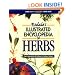 Rodale's Illustrated Encyclopedia of Herbs