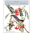 Audubon The Birds of America 2009 Wall Calendar