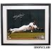 Framed Miguel Tejada Autographed/Hand Signed 16x20 Photo Diving Photo with Black Frame