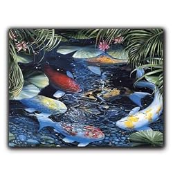 Koi - Gift Enclosure Cards (set of 12)