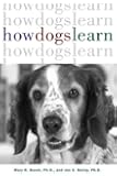 How Dogs Learn