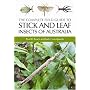 The Complete Field Guide to Stick and Leaf Insects of Australia