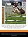 That's a Good Dog: Dog Competition and Sporting Fun (Obedience Trial, Dog Agility, Hunt Test, Dock Jumping, and More)
