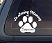Custom In Loving Memory Dog Cat Car Decal / Sticker