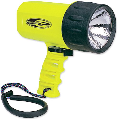 Princeton Tec Shockwave 8 C-Cell Dive Light