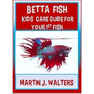 Betta Fish  Kids  Care Guide For Your 1st Fish