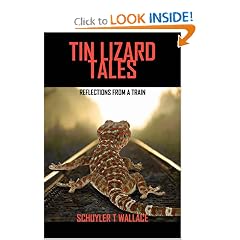 Tin Lizard Tales: Reflections from a Train