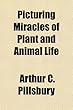 Picturing Miracles of Plant and Animal Life