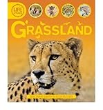 Grassland