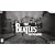 Wii The Beatles: Rock Band Limited Edition Premium Bundle