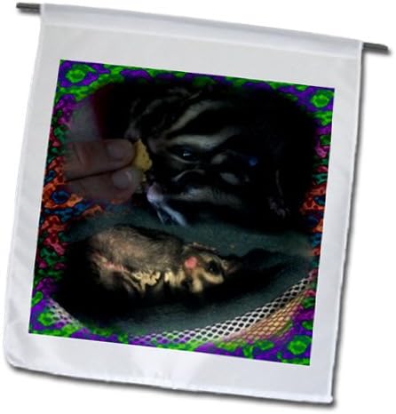 Sandy Mertens Animals - Sugar Gliders Eating Cheese and One in Hammock - 18 x 27 inch Garden Flag (fl_107053_2)
