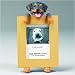 Rottweiler Picture Frame