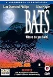 Bats