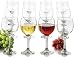 Libbey 12-Piece Wine Party Set