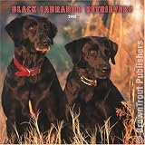 Black Labrador Retriever Dog - 2008 Browntrout Wall Calendar 12''x12''