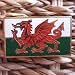 WALES FLAG RED DRAGON WELSH SYMBOL Y DDRAIG GOCH ENAMEL GOLDEN LAPEL PIN GIFT BOX