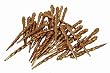 Club Pack of 36 Mocha Brown Shatterproof Icicle Christmas Ornaments 5"