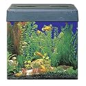SeaClear Eclipse 2 Compatible Aquarium Color:Clear