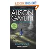 Into the Dark: A Novel of Suspense