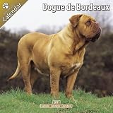 Kalender 2011 Bordeauxdogge - Dogue de Bordeaux