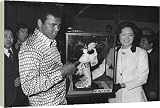 Box Canvas Print of Muhammad Ali receives a Japanese doll, Tokyo Hotel, March 1972. from Heritage-Images