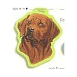 Chocolate Labrador Luggage Tag