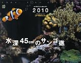 水深45cmのサンゴ礁 カレンダー 2010