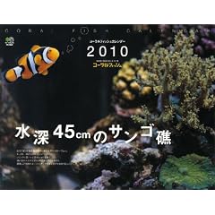���[45cm�̃T���S�� �J�����_�[ 2010 (�m�J�����_-�n)