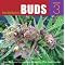 Medical and Religious Marijuana Cultivation