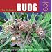 The Big Book of Buds: More Marijuana Varieties from the World's Great Seed Breeders: v. 3