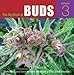 More Marijuana Varieties from the World's Great Seed Breeders (The Big Book of Buds, Vol. 3)