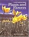 Photographing Plants and Flowers