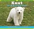 Knut The Baby Polar Bear