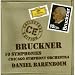 Search : Bruckner: Symphonies