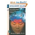 Intelligente Zellen: Wie Erfahrungen unsere Gene steuern