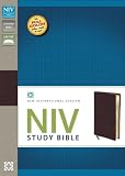 NIV Study Bible