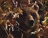 IMAGE OF Legend Of The Fall PREMIUM GRADE Rolled CANVAS Art Print Collin Bogle 28x22