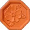 JBK Daisy Terra Cotta Brown Sugar Saver