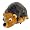 Hedgehog