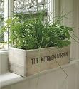 Kitchen Herb Garden - includes seeds!