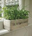 Kitchen Herb