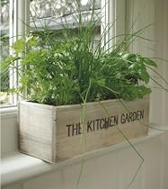 Kitchen Herb Garden - includes seeds!