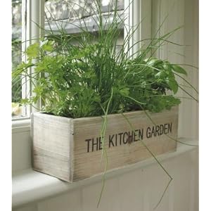 Kitchen Herb Garden - includes seeds!