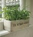 Kitchen Herb Garden - includes seeds!