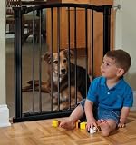 Premier Gateway (Quantity of 1)
